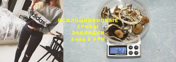 а пвп мука Дмитриев