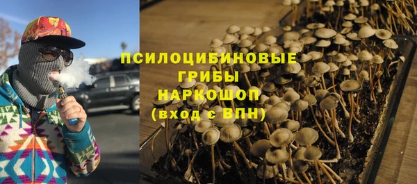 а пвп мука Дмитриев