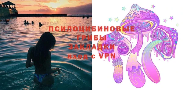 а пвп мука Дмитриев