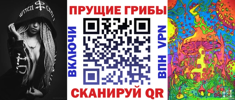 Галлюциногенные грибы Psilocybine cubensis Купить где Стрежевой